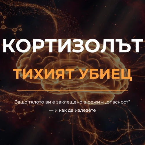 Е-книга 